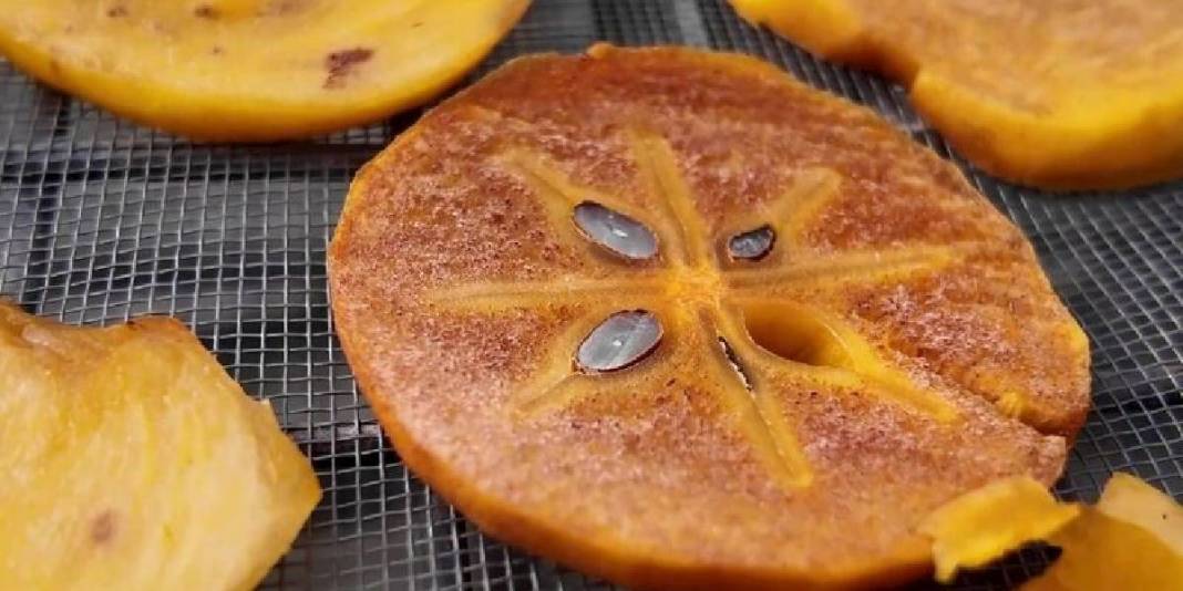 Sağlıksız cipslere yeni bir alternatif doğdu! Herkesin yeni tercihi: 650 TL’den yok satıyor 3